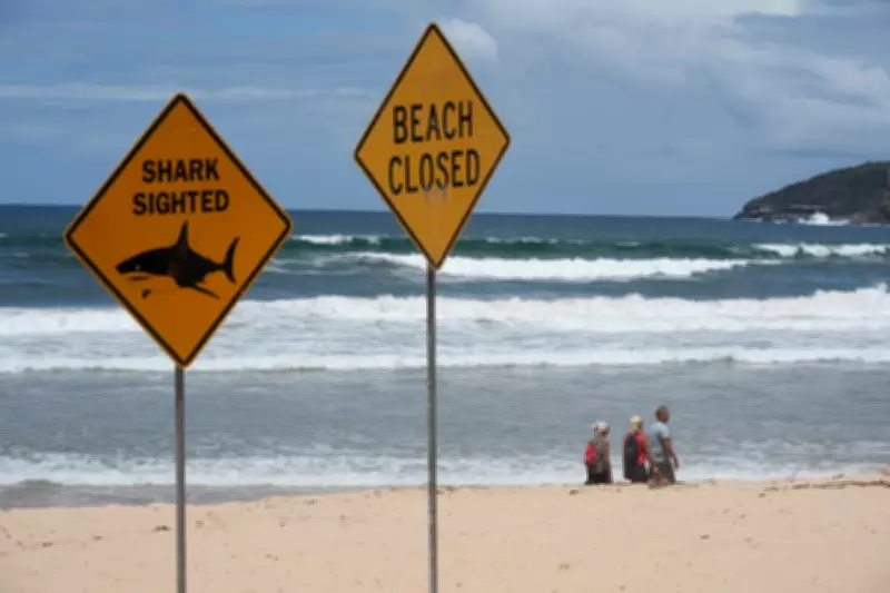 Man Killed in Shark Attack Off Western Australia Coast