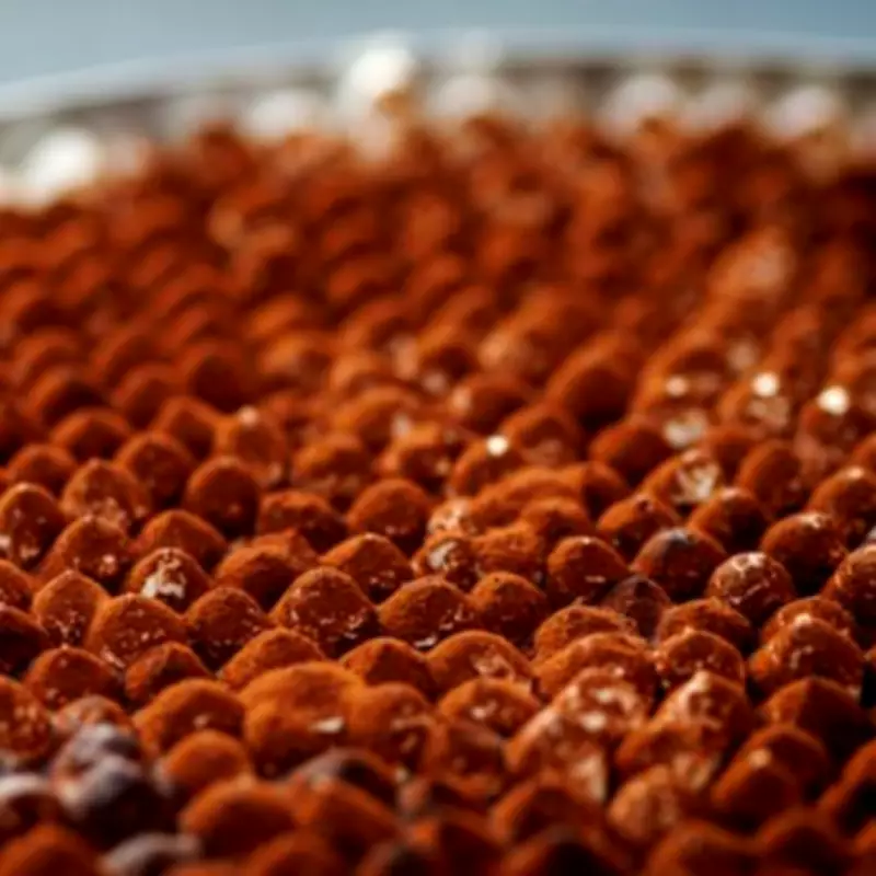 Manchester Pizzeria's Wheelbarrow Tiramisu Challenge: Eat It in 30 Mins for Free