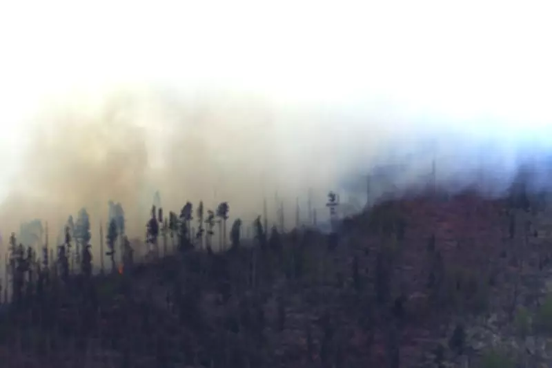 Medical Plane Crash in New Mexico Kills 4, Sparks Wildfire