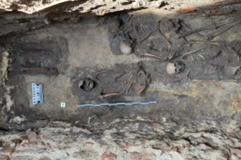 Medieval 'Hugging Skeletons' Confirmed as Poland's First Same-Sex Double Burial