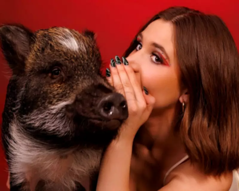 Merlin the Sassy Pig Helped Me Find Love and Happiness