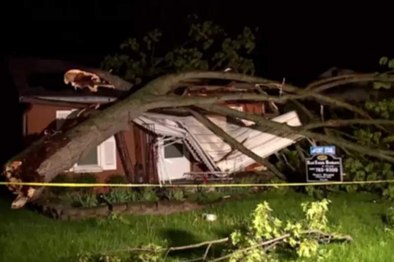 Michigan Home Crushed by Tree Just One Day After Sale