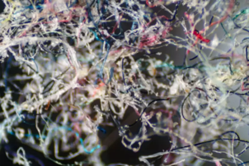 Microplastic Filter Traps 97% of Washing Machine Fibres, Says Inventor