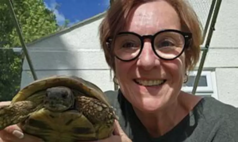 Missing Tortoise Found Just 300 Metres Away After Eight Months