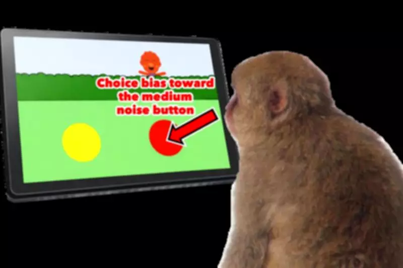 Monkeys Play Video Game Driven by Curiosity, Not Rewards, Stumping Scientists