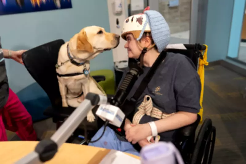 More US Children's Hospitals Using Facility Dogs to Help Kids Heal