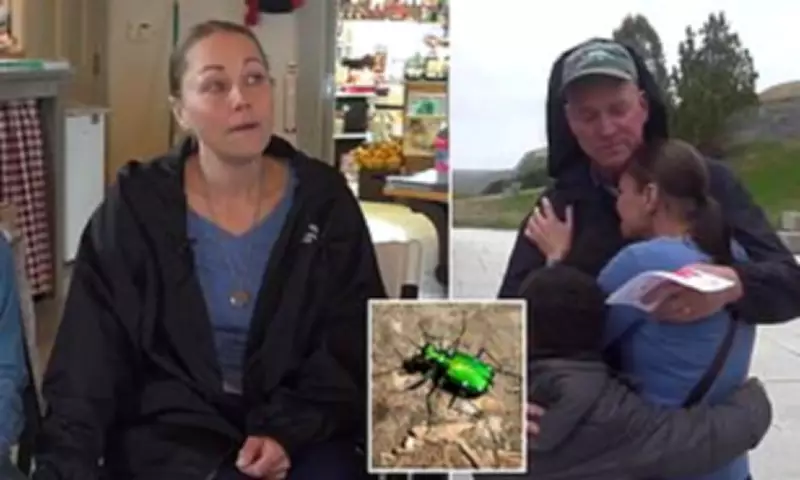 Mother Suffers Life-Threatening Allergic Reaction to Beetle in Maine