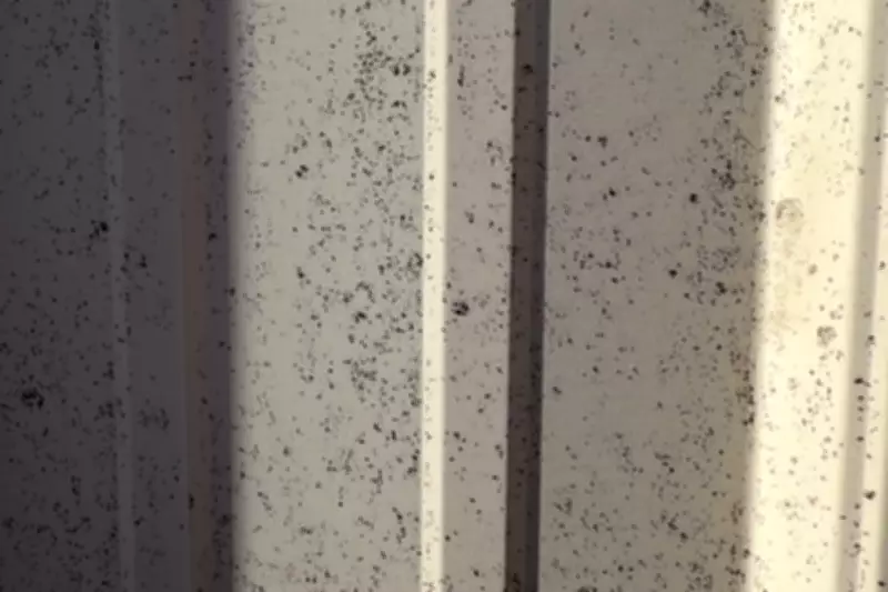 Mysterious Black Dust Blankets Oklahoma Town, Residents Seek Answers