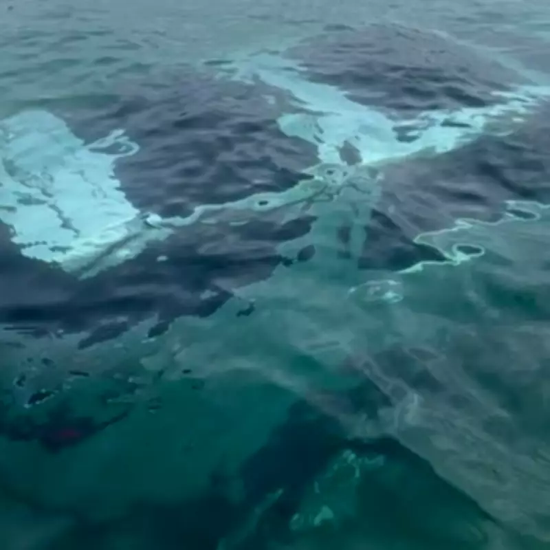Mystery car submerged by tide rowed over by paddleboarder in Wales