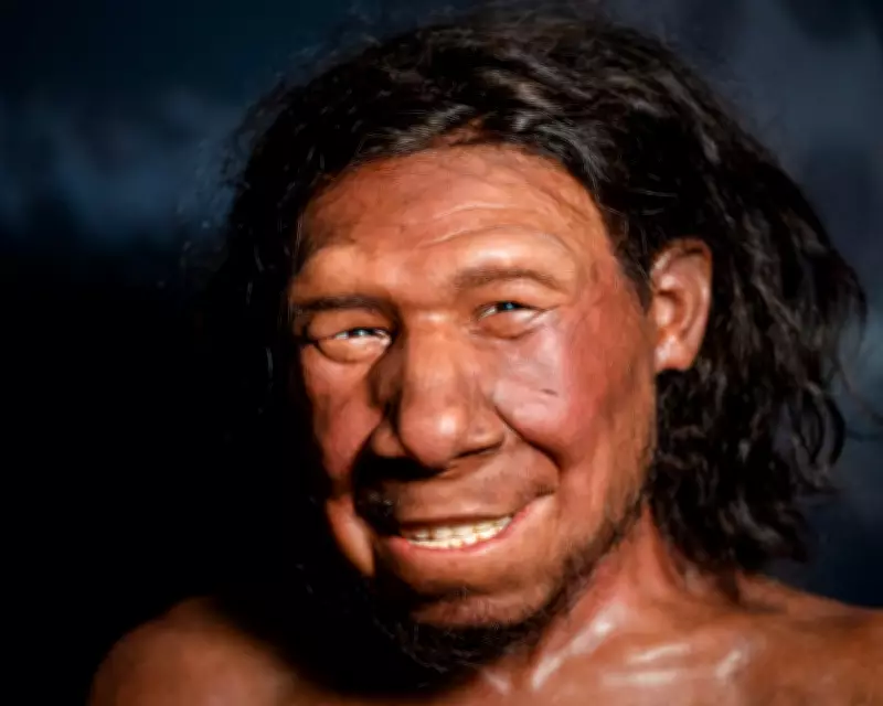 Neanderthal Tooth Shows 59,000-Year-Old Dental Drilling