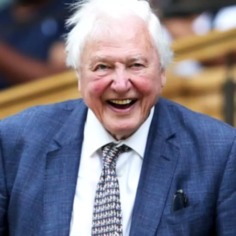 Netflix Drops Raunchy David Attenborough Parody After His 100th Birthday