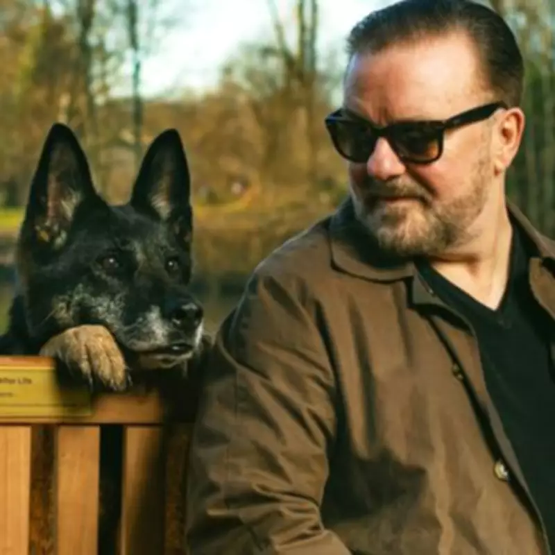 Netflix Reveals Release Date for Ricky Gervais' Animated Series Alley Cats