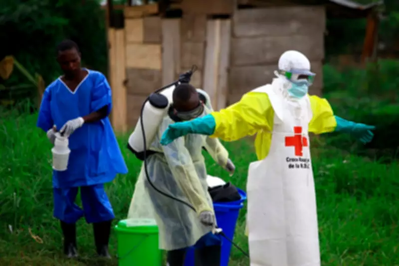New Ebola Outbreak in Congo: 246 Cases, 65 Deaths Reported