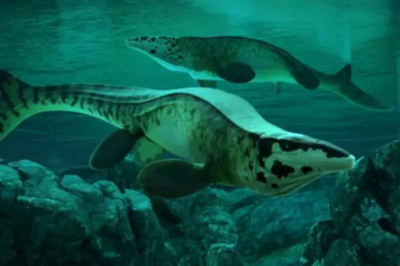 New Marine Dinosaur Tylosaurus Rex Discovered, Terrorised Seas 80 Million Years Ago