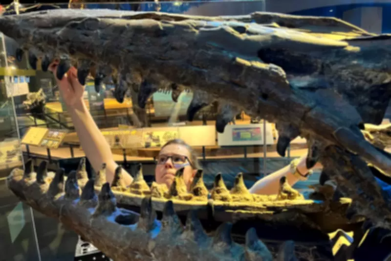 New Marine Dinosaur Tylosaurus Rex Was Twice Size of Great White Shark