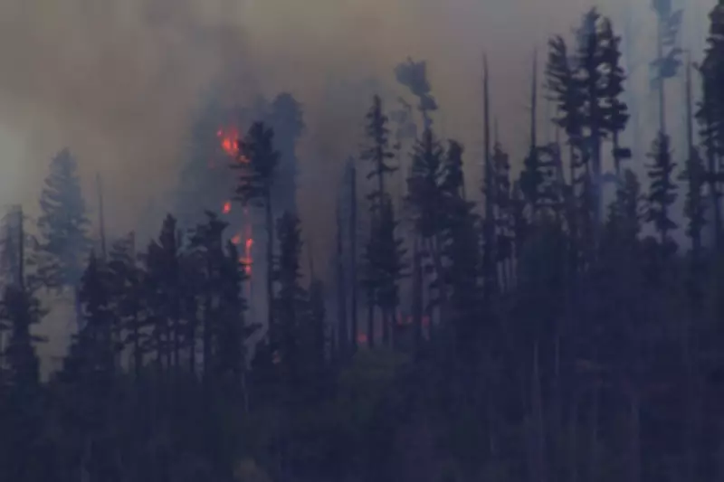 New Mexico Wildfire from Medical Plane Crash Spreads Rapidly