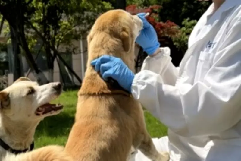 New Molasses Oral Spray Neutralises Dogs' Stinky Breath