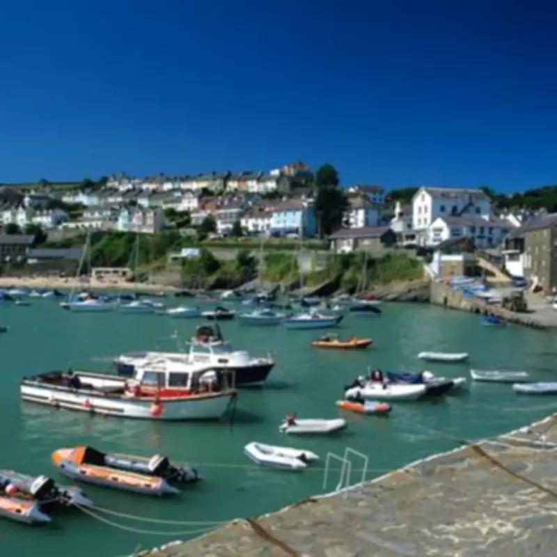 New Quay Crowned UK's Best Seaside Town: Dolphin Spotting & Blue Flag Beaches