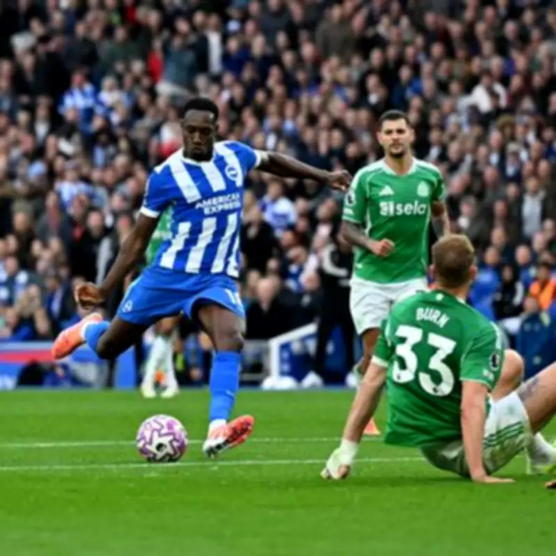 Newcastle vs Brighton: Premier League Match Preview and Viewing Guide