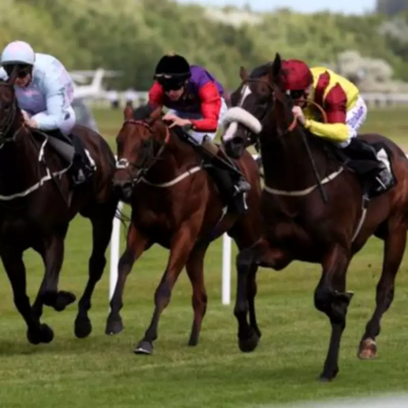 Newsboy's Horse Racing Tips: Spirit Catcher Nap at Musselburgh on Thursday