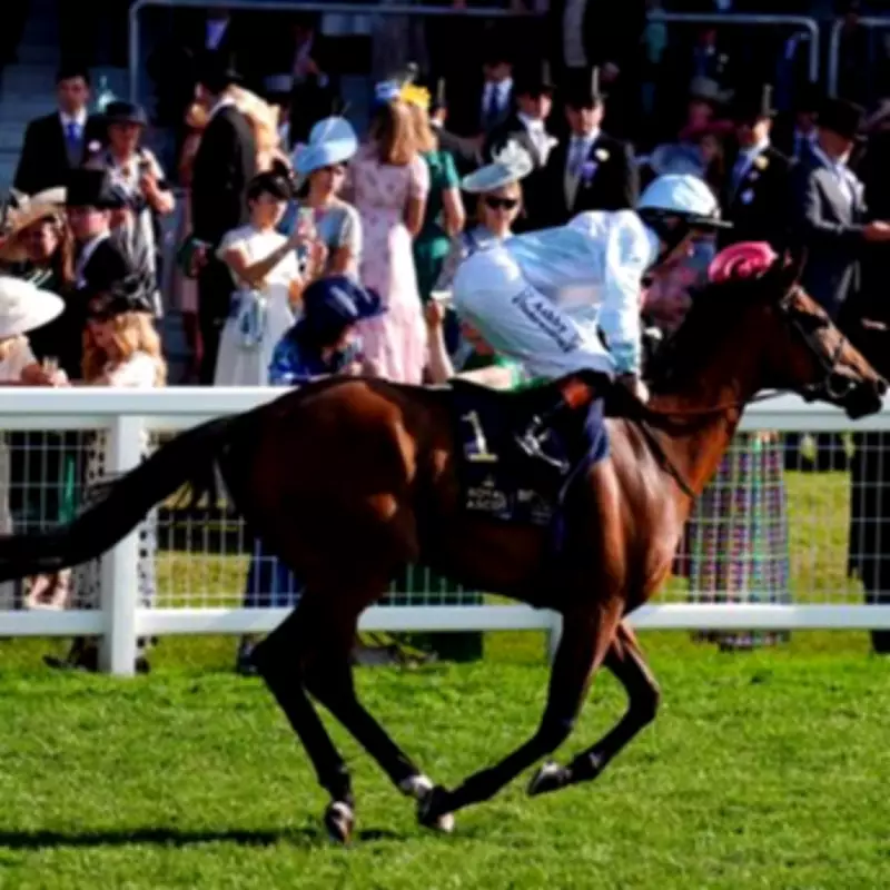 Newsboy's ITV Selections for York and Newbury Plus Friday Tips