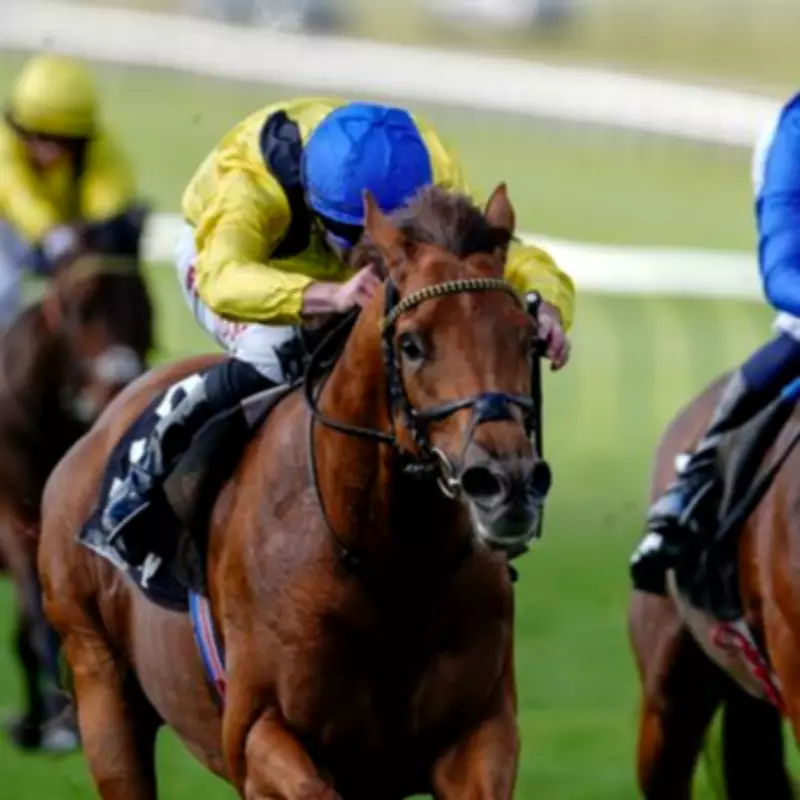Newsboy's ITV Selections: Morshdi and Fallen Angel Lead York Tips