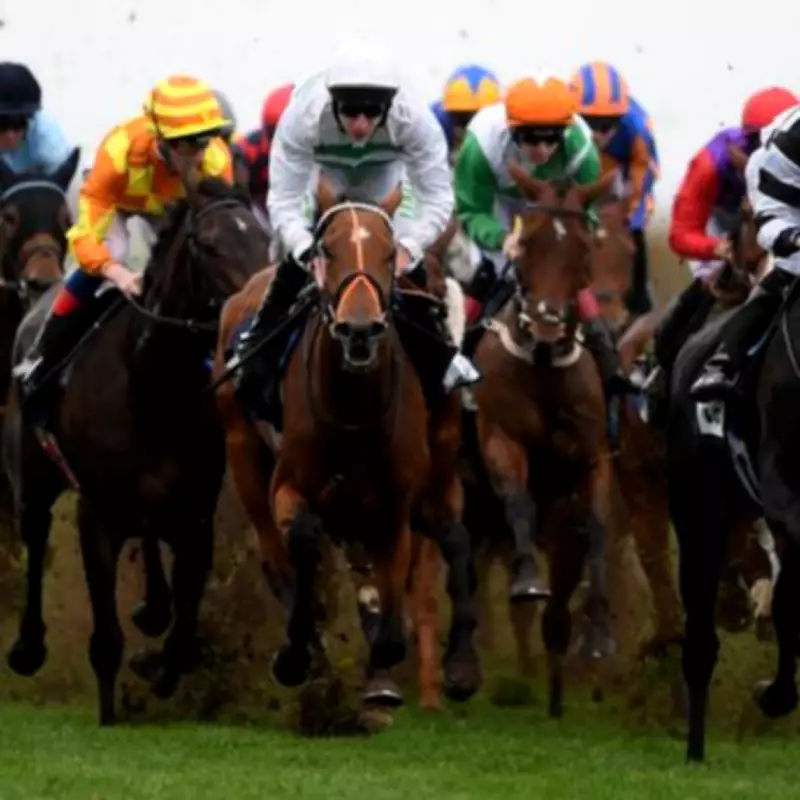 Newsboy's Monday Racing Tips: Angel Shared Nap at Bath, Staniel Cay at Windsor
