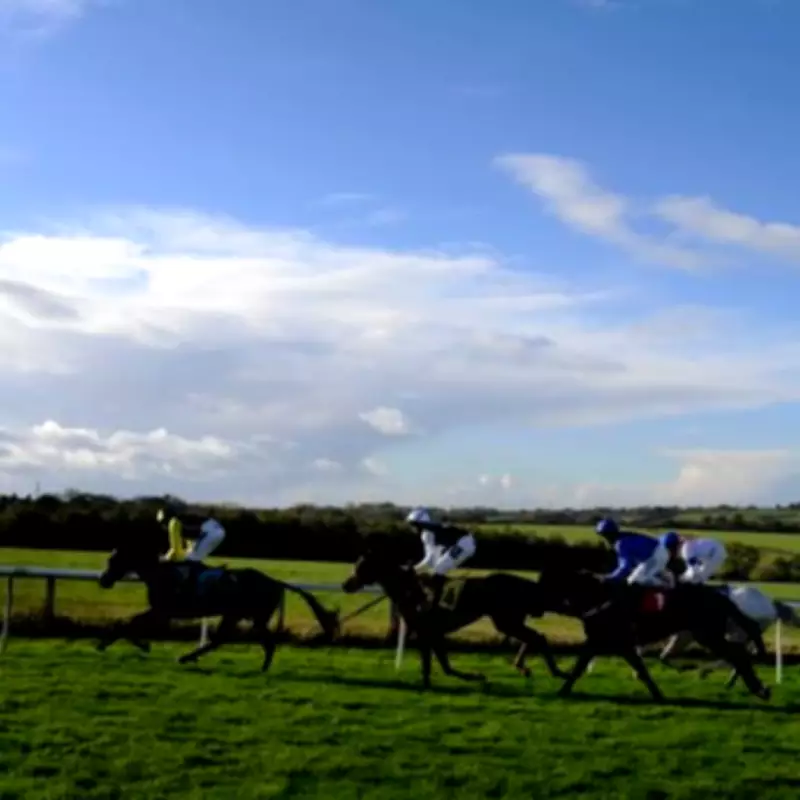 Newsboy's Monday Racing Tips: Native Instinct Nap at Carlisle