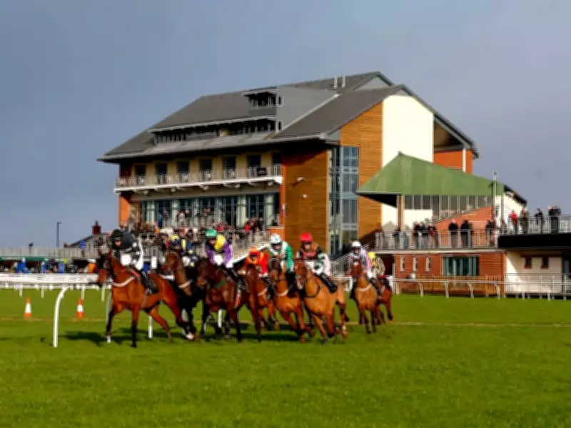Newsboy's Nap Auspicious Set to Shine at Carlisle on Friday