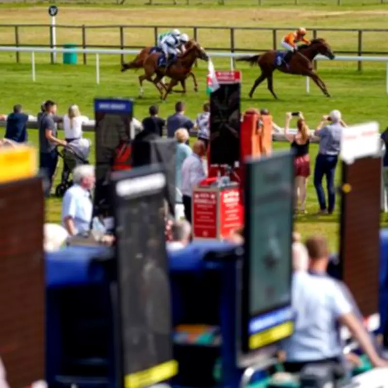 Newsboy's NAP Tilani Aims for Hat-Trick at Bath on Friday