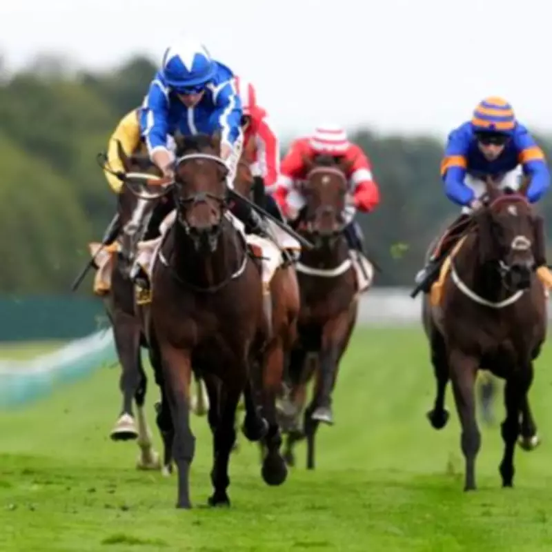 Newsboy's Saturday Racing Tips: Coppull to Shine at Haydock