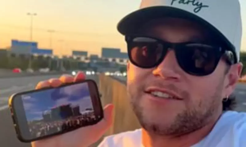 Niall Horan's Car Breakdown After First Gig in 18 Months