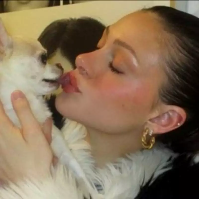 Nicola Peltz Drops Lawsuit Against Dog Groomers Over Pet's Death