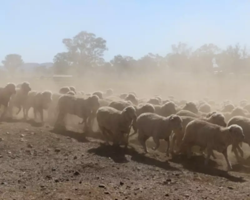 NSW Faces Second Driest April on Record Amid El Nino Fears