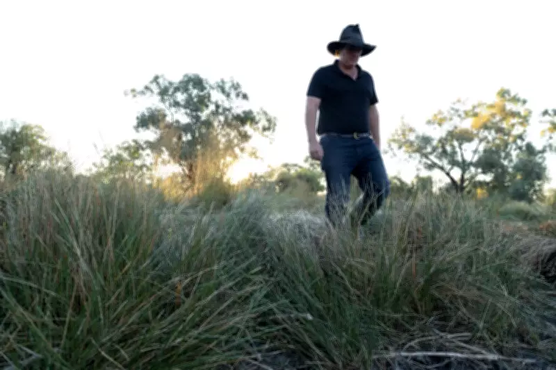 NSW Government Delayed Water Flows to Wetlands, Prioritizing Farming Over Ecology