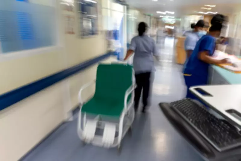 Nurses Kept Working Despite Ban Due to Regulator Failings