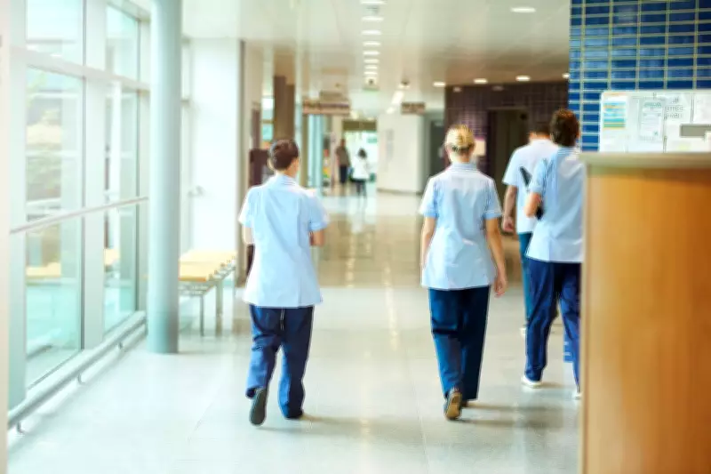 Nursing Regulator Still Failing After Fraudulent Nurse Scandal