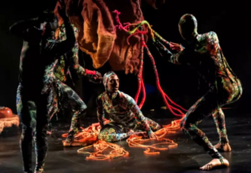 Objects Escape Museum in Magical Forest Spectacle