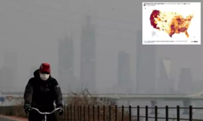 One Hour of Polluted Air Can Alter Brain and Lung Function, Study Finds