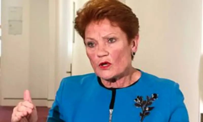 One Nation Tops Labor in First Post-Budget Poll, 32% to 28.5%