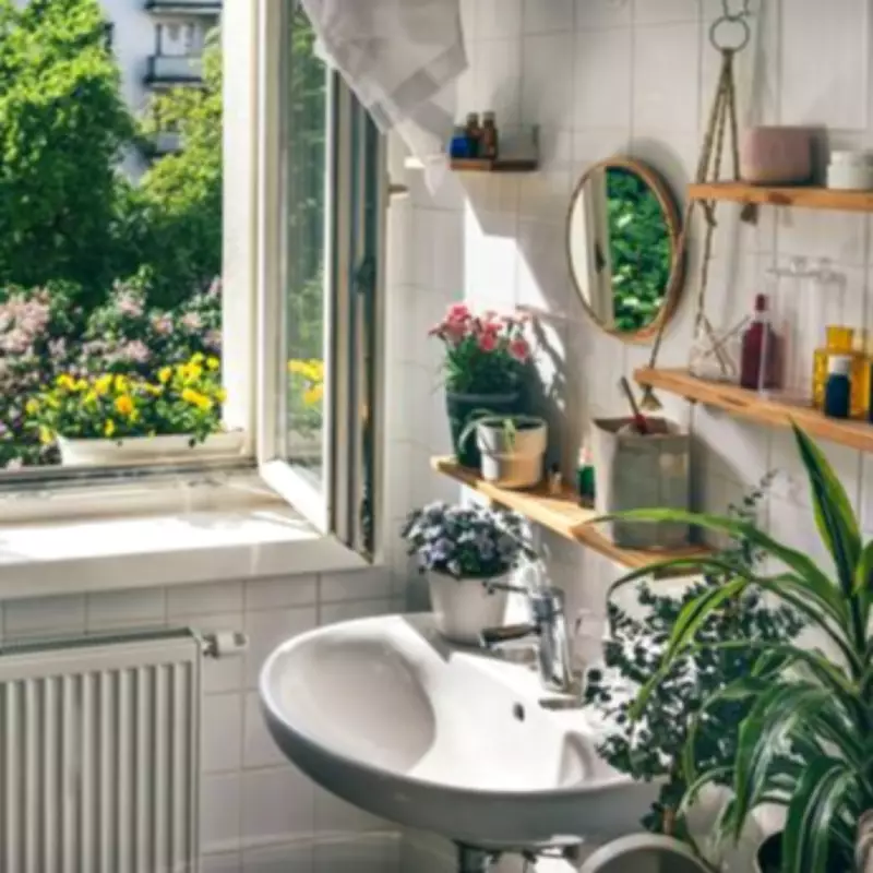 Open Bathroom Windows to Prevent Silverfish Infestation This Summer