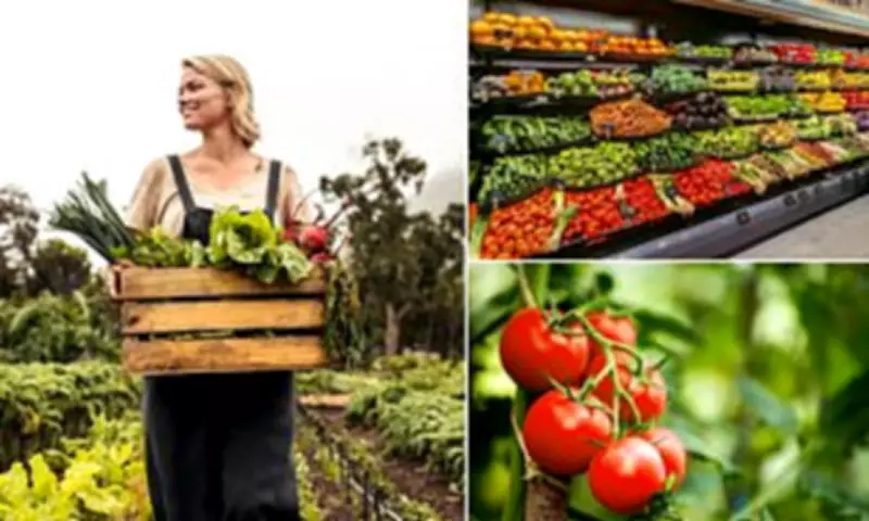 Organic Produce Prices Surge 59% Above Conventional, Widening Gap