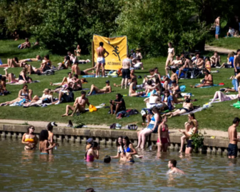 Outrage as Swimmers Disturb Nesting Birds on Hampstead Heath
