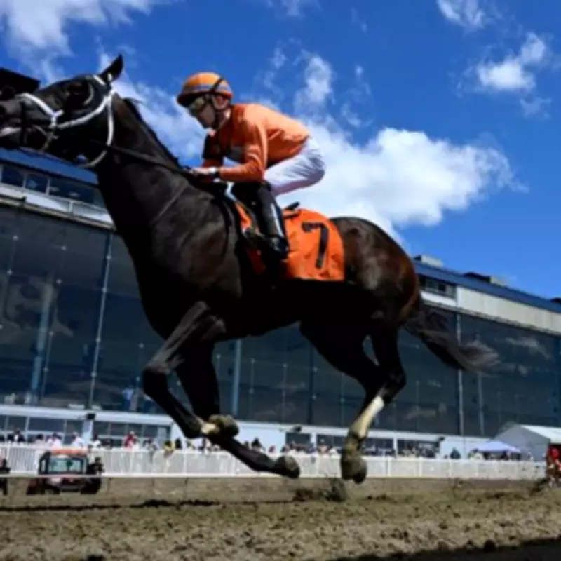Owner's Dream Day Ends in Tragedy as Horse Collapses and Dies After Debut