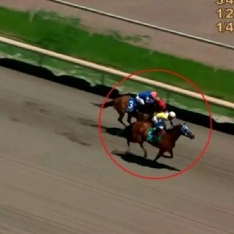 Paco Lopez Stuns Fans by Looking Back, Losing Race at Parx