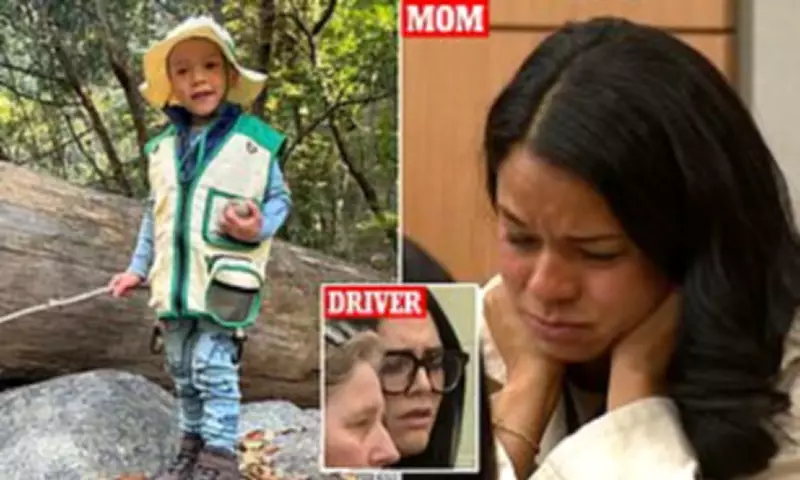 Parents of Boy, 6, Killed in Hit-and-Run Describe Horrific Scene in Court