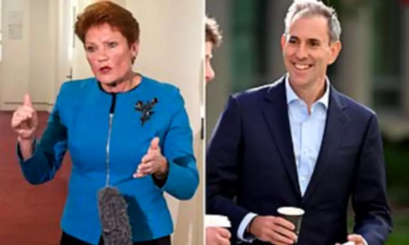 Pauline Hanson Slams Labor Budget as 'S*** Sandwich', Unveils Income Splitting Plan