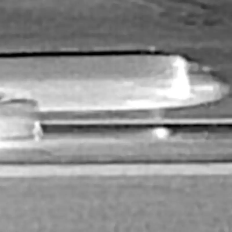 Pedestrian Walks Across Runway Before Being Sucked into Frontier Airlines Engine