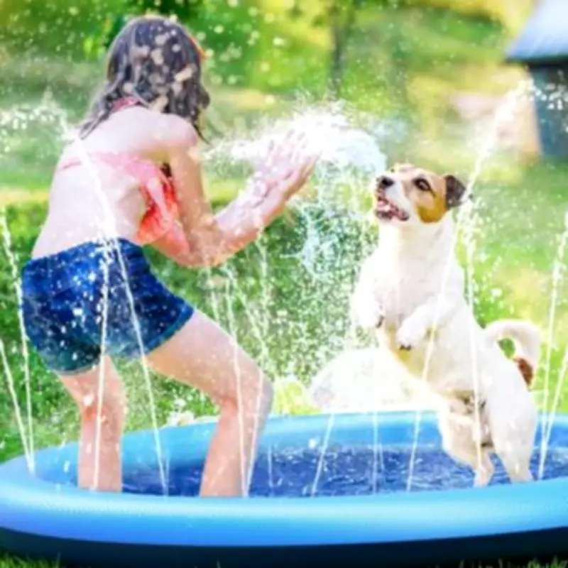 Pet Sprinkler Under £20: Perfect Heatwave Alternative to Paddling Pools