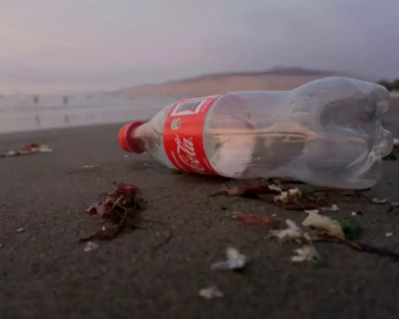 Plastic Bottle Cap Rule: A Parable for EU Regulation's Value
